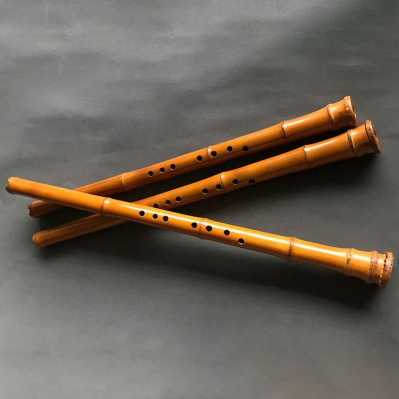 Musical Instrument I Play - 8-gaats bamboe Xiao Prestaties Chinese verticale
