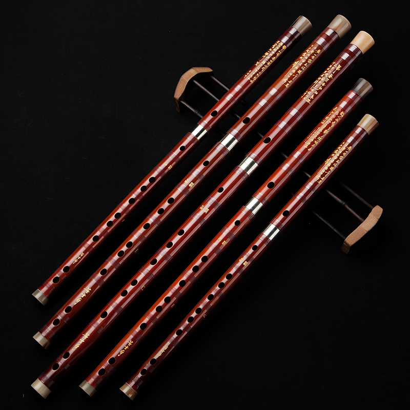 Dong Xuehua 8885 Bamboefluit P - Musical Instrument Sign recensie en prijs