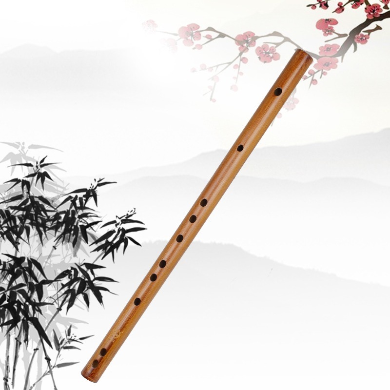 Chinese Bamboefluit Profession - Musical Instrument I Play recensie en prijs