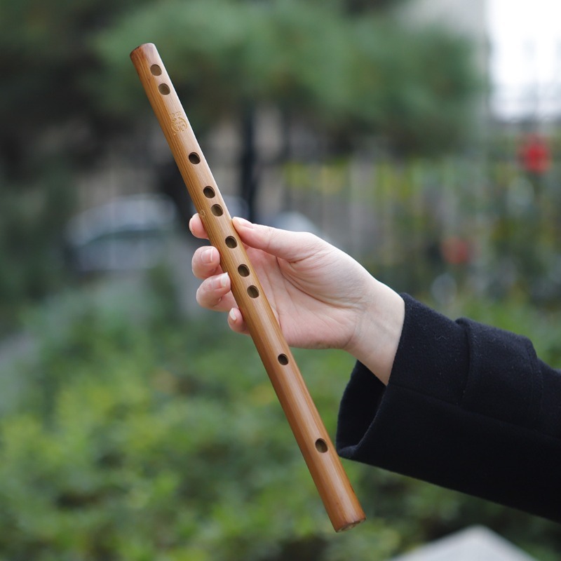 Chinese Bamboefluit Profession - Musical Instrument I Play recensie en prijs