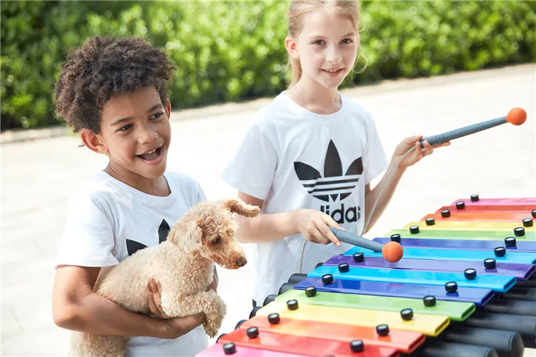 Buitenpark percussie-instrumen - Musical Instrument Park recensie en prijs