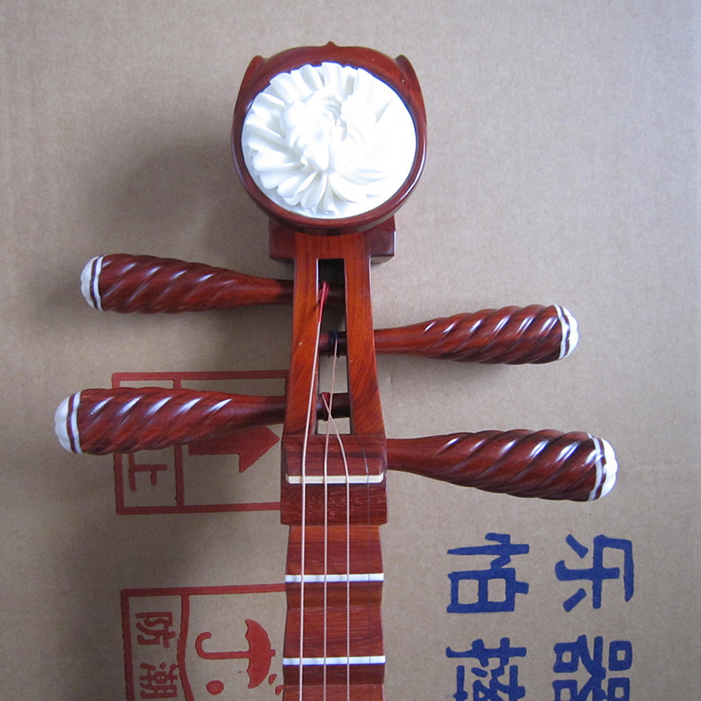 Professionele palissanderpipa, - Musical Instrument Ending In A recensie en prijs