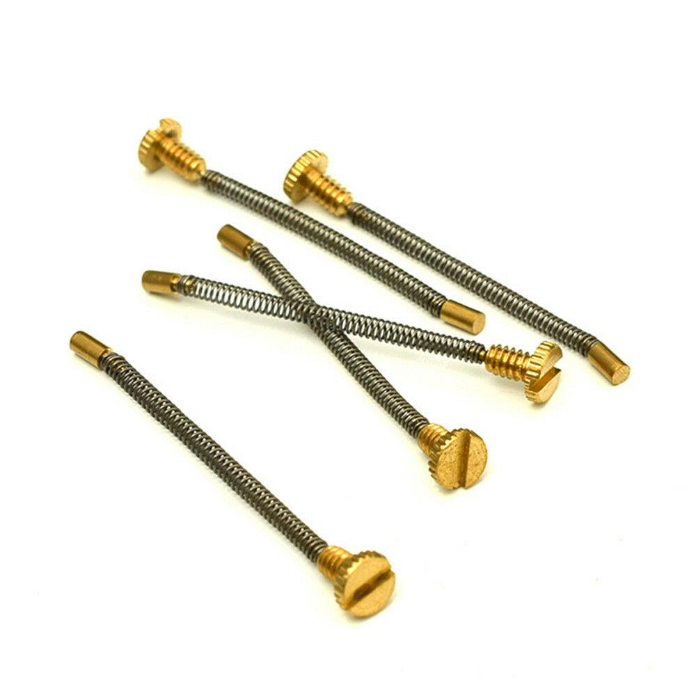 10 Stuks Metalen Lente Schroef - Musical Instrument Zither recensie en prijs