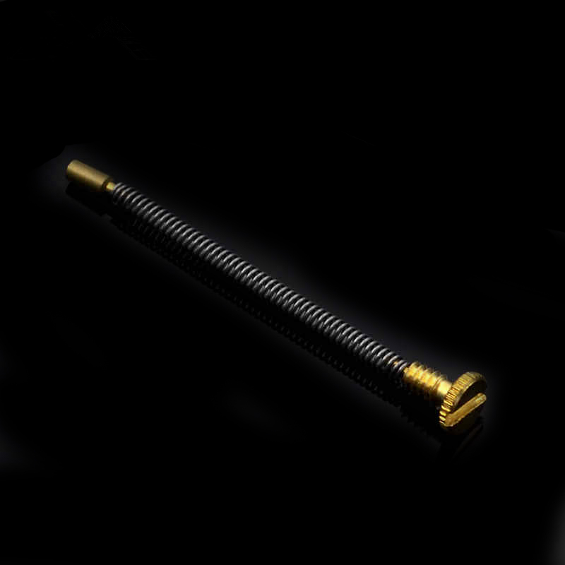 10 Stuks Metalen Lente Schroef - Musical Instrument Zither recensie en prijs