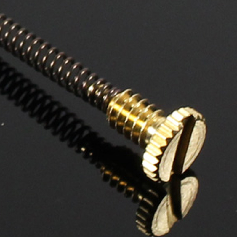 10 Stuks Metalen Lente Schroef - Musical Instrument Zither recensie en prijs