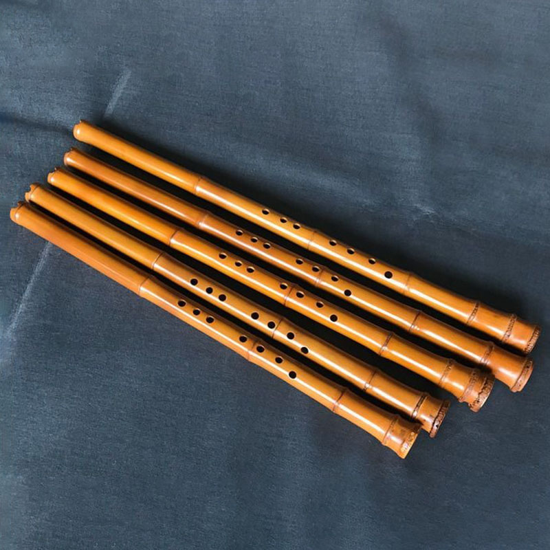 8-gaats bamboe Xiao Prestaties - Musical Instrument I Play recensie en prijs