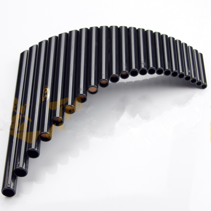 Hete verkoop 22 pijpen ABS pla - Musical Instrument Pipe recensie en prijs